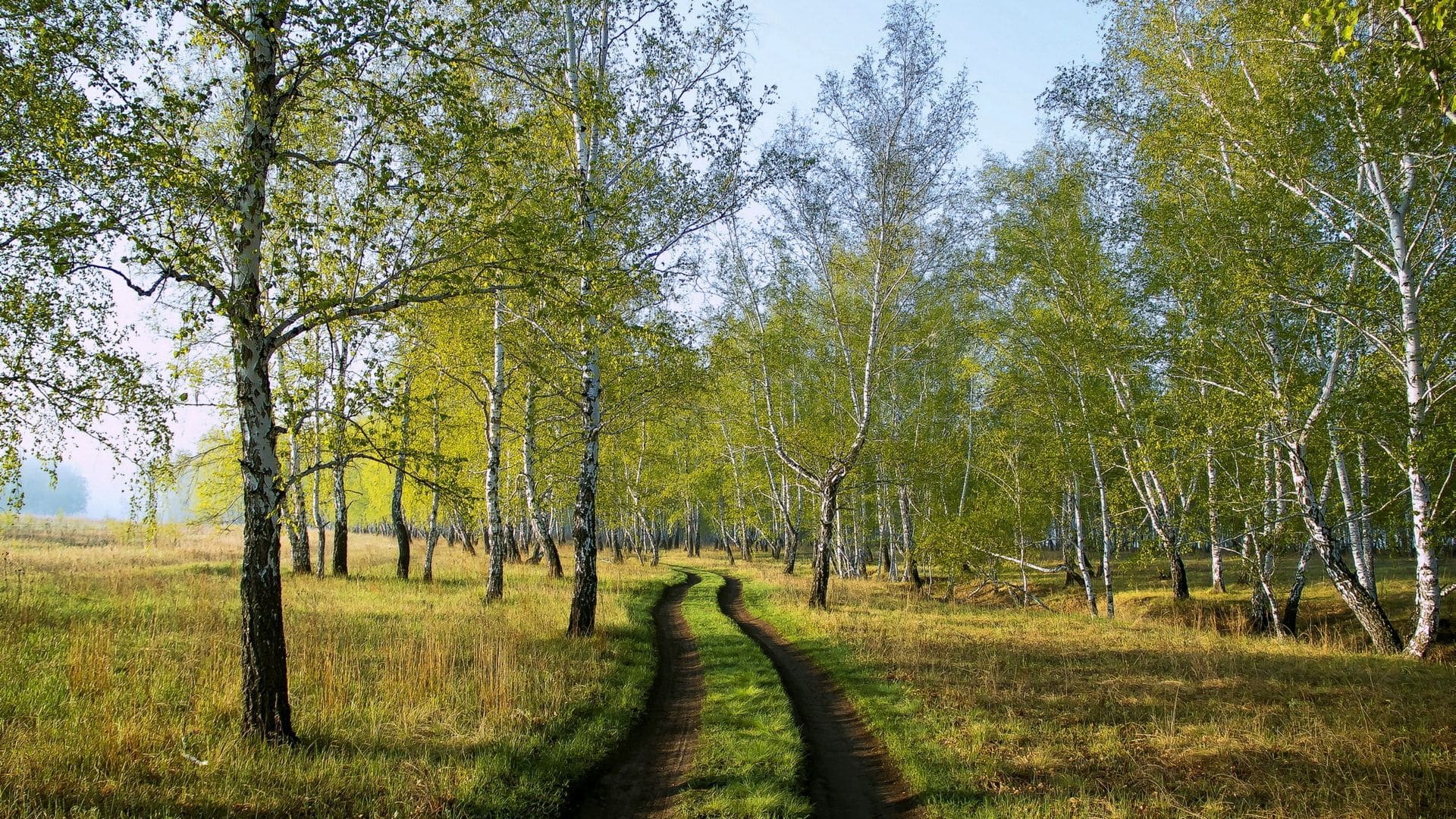 Александрийский парк — фото 1