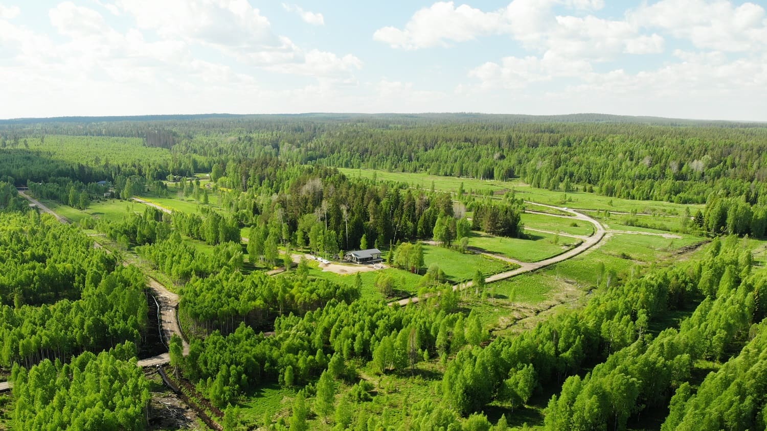 Мичурино Парк — фото посёлка