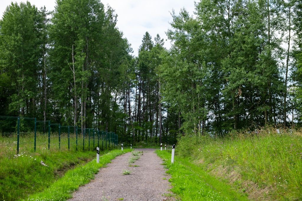 Отрадная бухта — дорога через лес