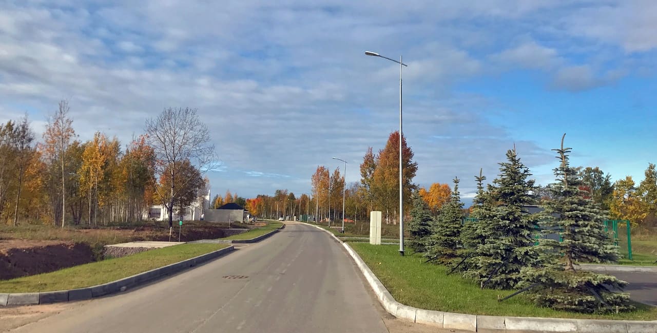 Петергофские дачи — участки и застройка